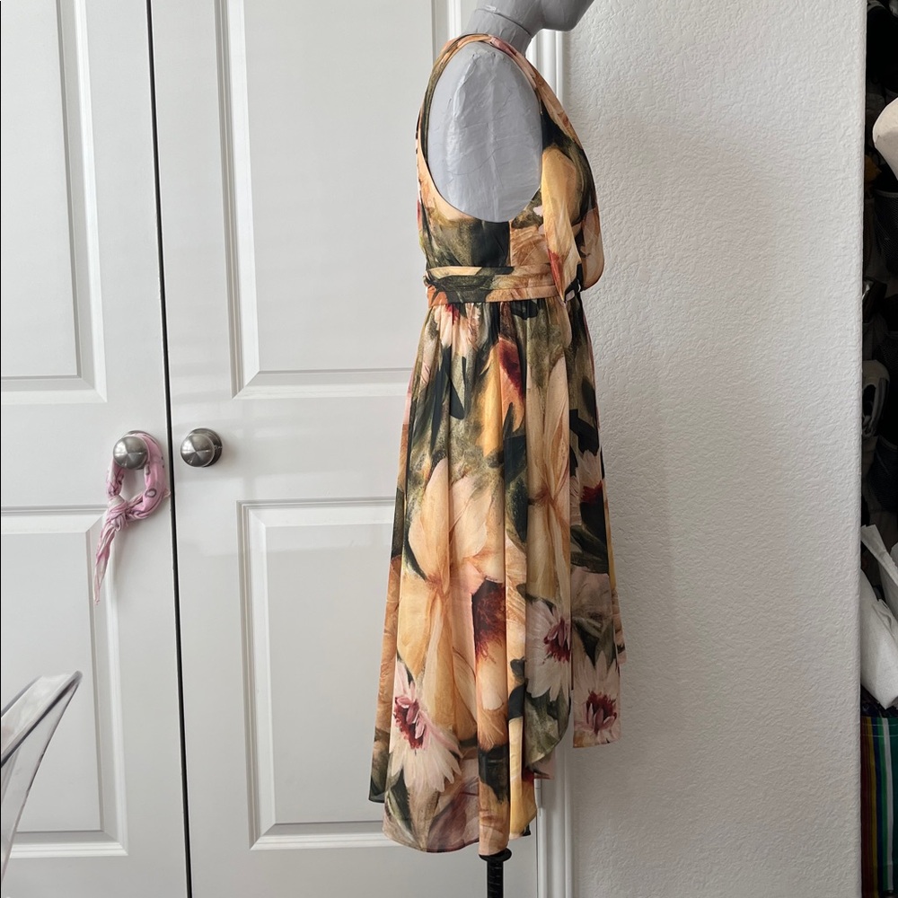 Haute Hippies Plunge Sunflower V Neck Draped Midi A Line Chiffon Crepe Dress - Picture 12 of 12